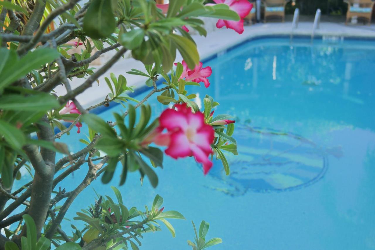 Heron House (Adults Only) Key West Esterno foto